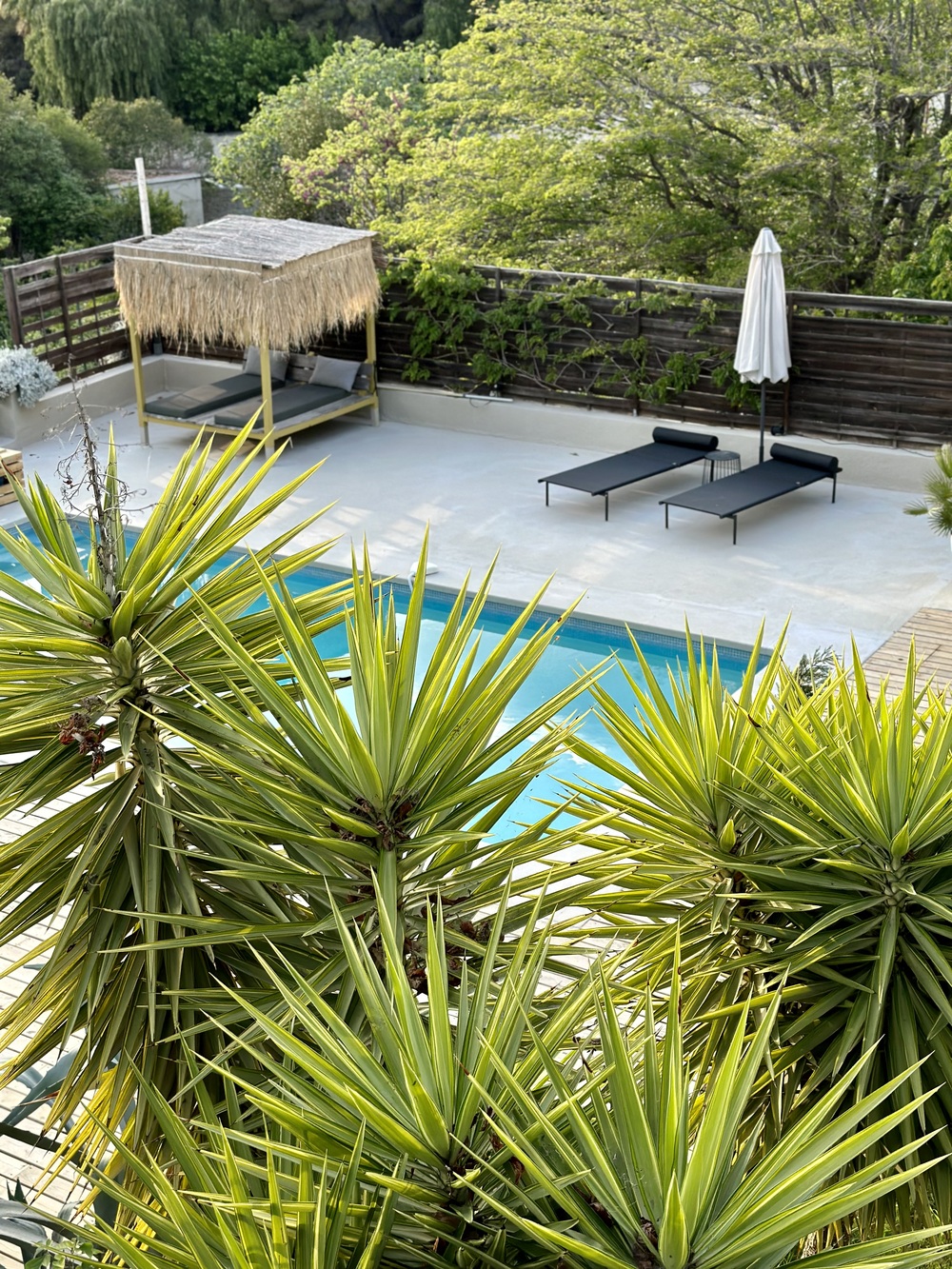Piscine et jardins du Clos du Petit Jésus - B&B Cassis