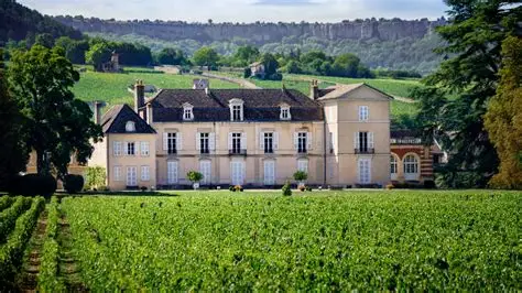 Château de Meursault